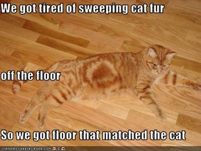 We got tired of sweeping cat fur  off the floor So we got floor that matched the cat