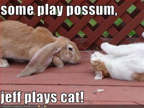 some play possum,  jeff plays cat!