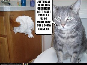 JUST TRUST ME ON THIS ONE I DIDNT DO IT. HAVE I EVAR LIE 2 U? OK MABEE I HAV BUT U GOTTA TRUST ME!