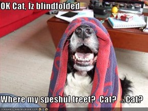 OK Cat, Iz blindfolded  Where my speshul treet?  Cat?  ...Cat?