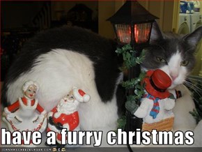 have a furry christmas