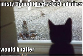 misty thought her sekret admirer  would b taller