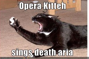 Opera Kitteh  sings death aria