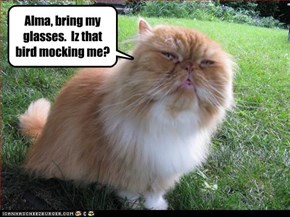 Alma, bring my glasses.  Iz that bird mocking me?