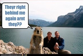 Aw NUTS!