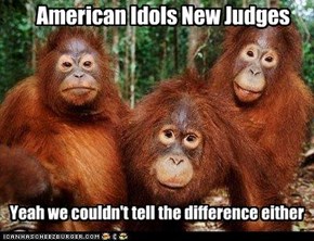American Idols New Judges