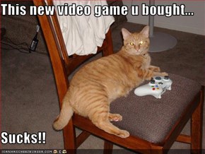 This new video game u bought...  Sucks!!
