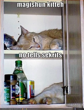 magishun kitteh no tells sekrits