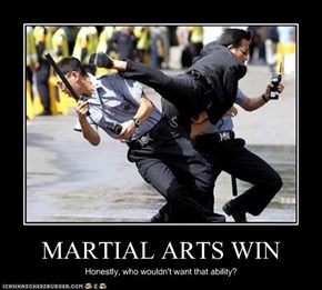 MARTIAL ARTS WIN