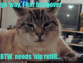 go 'way, i haz hangover  BTW, needs 'nip refill...