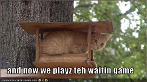 and now we playz teh waitin game