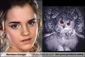 Hermione Granger Totally Looks Like she's gonna get killed by Hedwig