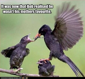 It was now that Bob realised he wasn't his mothers favourite.