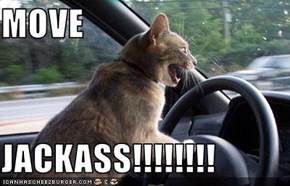 MOVE  JACKASS!!!!!!!!