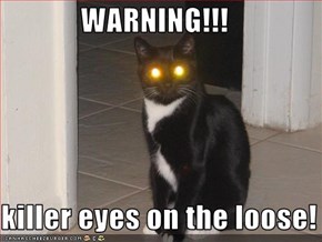 WARNING!!!  killer eyes on the loose!