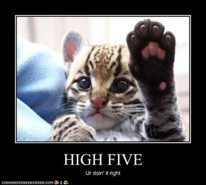 HIGH FIVE