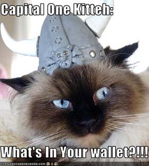 Capital One Kitteh:   What's In Your wallet?!!!