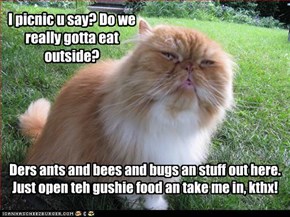 I picnic u say? Do we really gotta eat outside?