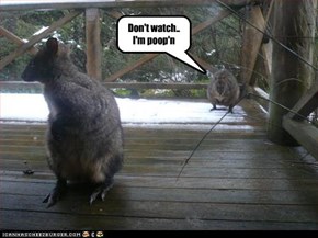 Don't watch.. I'm poop'n