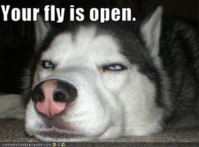Your fly is open.