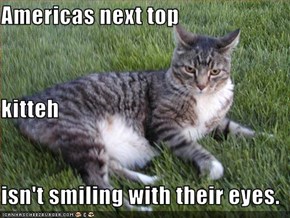Americas next top  kitteh isn't smiling with their eyes.