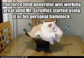 The force field generator was working great until Mr. Scruffles started using it as his personal hammock.