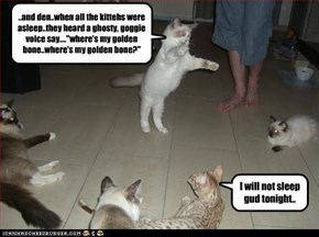 Caturday Night slumber Party Ghost stories..