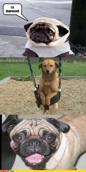 Cheer up, Pug!