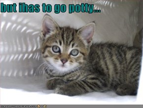 but ihas to go potty...