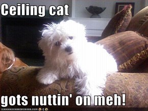 Ceiling cat  gots nuttin' on meh!