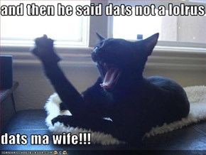 and then he said dats not a lolrus  dats ma wife!!!
