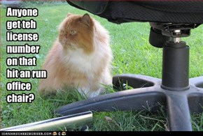 Anyone get teh license number  on that hit an run office chair?