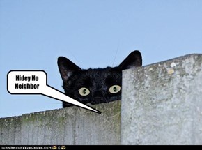 Hidey Ho  Neighbor