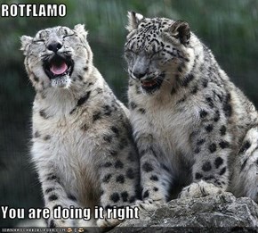 ROTFLAMO  You are doing it right