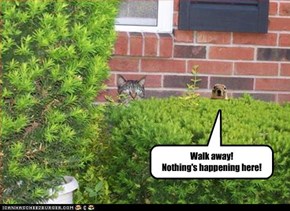 Walk away!  Nothing's happening here!