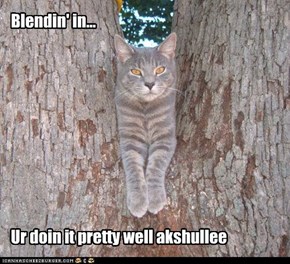 Blendin' in...