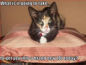 What is it going to take...  to get you into a brand new LOL today?