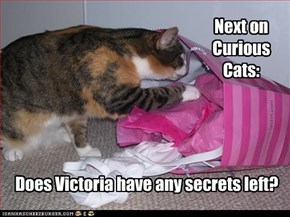 Does Victoria have any secrets left?