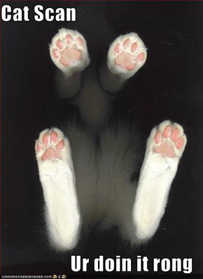 Cat Scan  Ur doin it rong