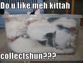 Do u like meh kittah   collectshun???