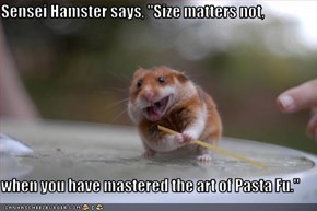 Sensei Hamster says, "Size matters not,  when you have mastered the art of Pasta Fu."