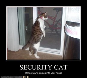 SECURITY CAT