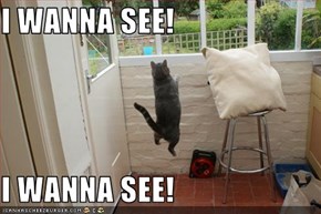I WANNA SEE!  I WANNA SEE!