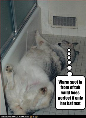 Warm spot in front of tub wuld bees perfect if only haz baf mat