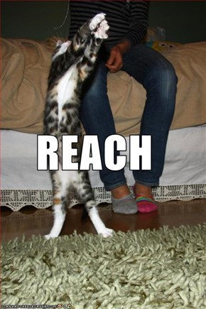 REACH