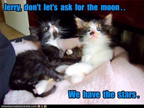 Jerry,  don't  let's  ask  for  the  moon . .