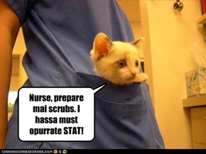The OR Chronicles of Dr. Tinycat