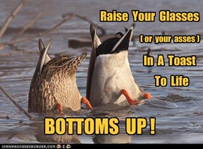 Raise  Your  Glasses