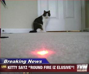 Breaking News - KITTY SAYZ "ROUND FIRE IZ ELUSIVE"!