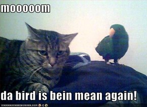 mooooom  da bird is bein mean again!